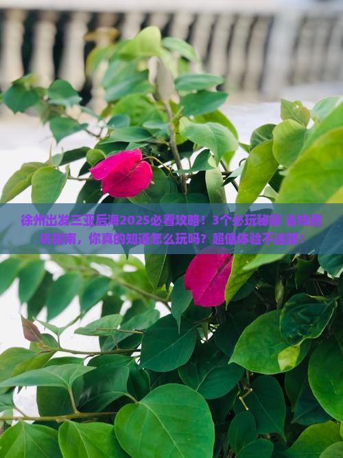 徐州出发三亚后海哪里玩