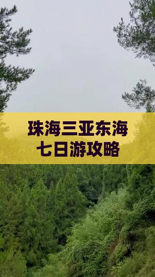 珠海前往三亚小东海七日游