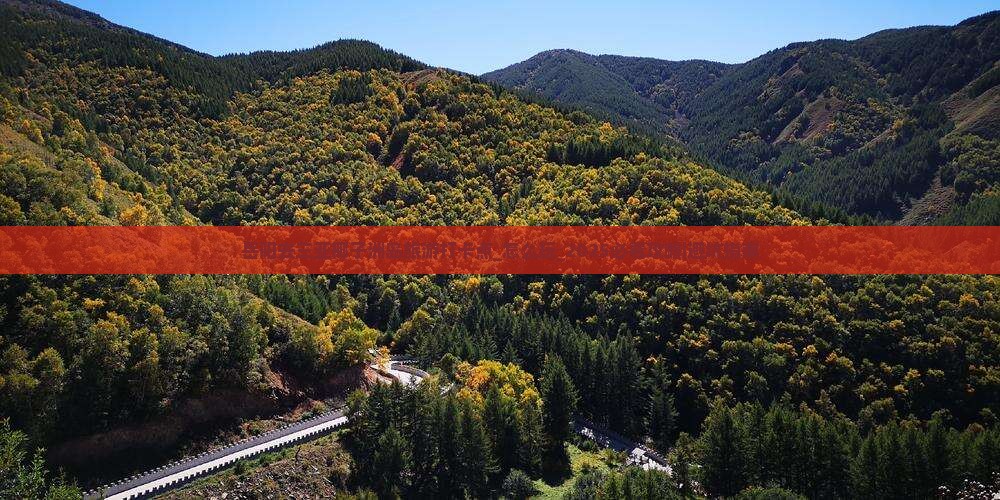 岳阳去三亚椰子洲岛旅游打卡点