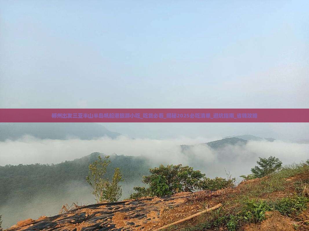 郴州出发三亚半山半岛帆船港旅游小吃