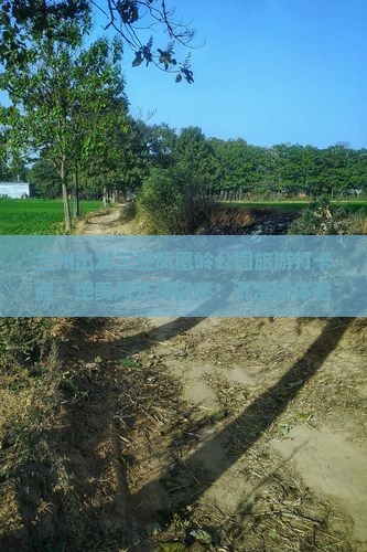 兰州出发三亚凤凰岭公园旅游打卡点