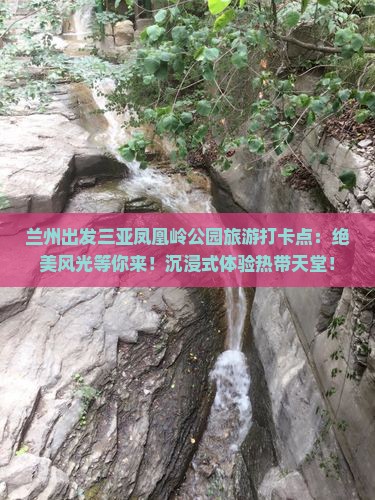 兰州出发三亚凤凰岭公园旅游打卡点