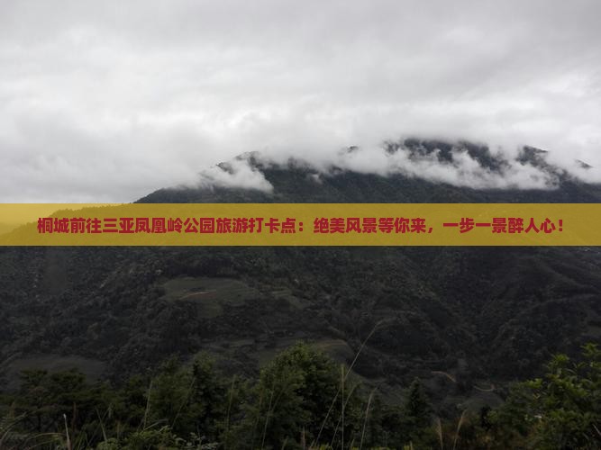 桐城前往三亚凤凰岭公园旅游打卡点
