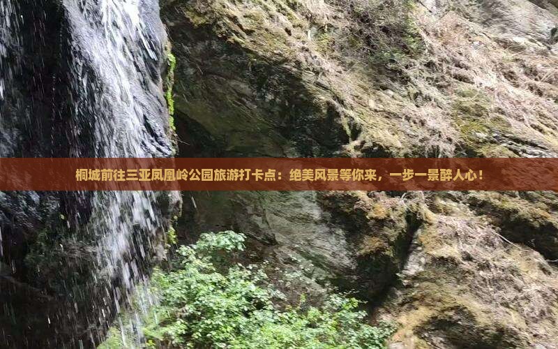 桐城前往三亚凤凰岭公园旅游打卡点