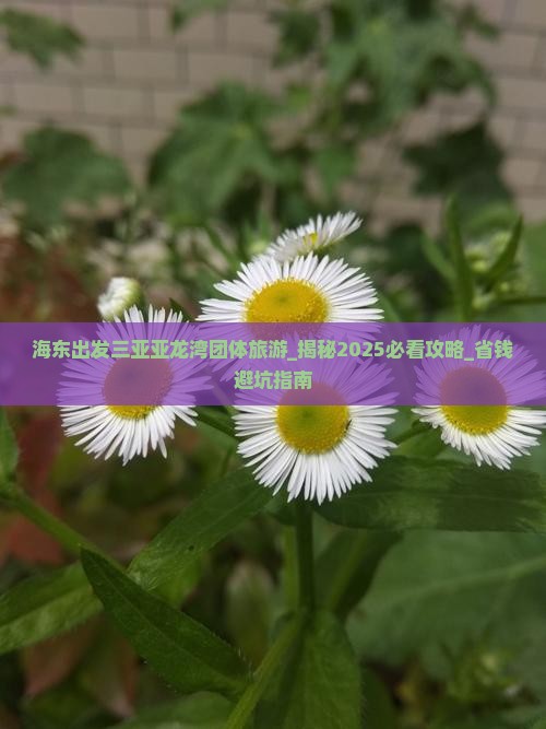 海东出发三亚亚龙湾团体旅游