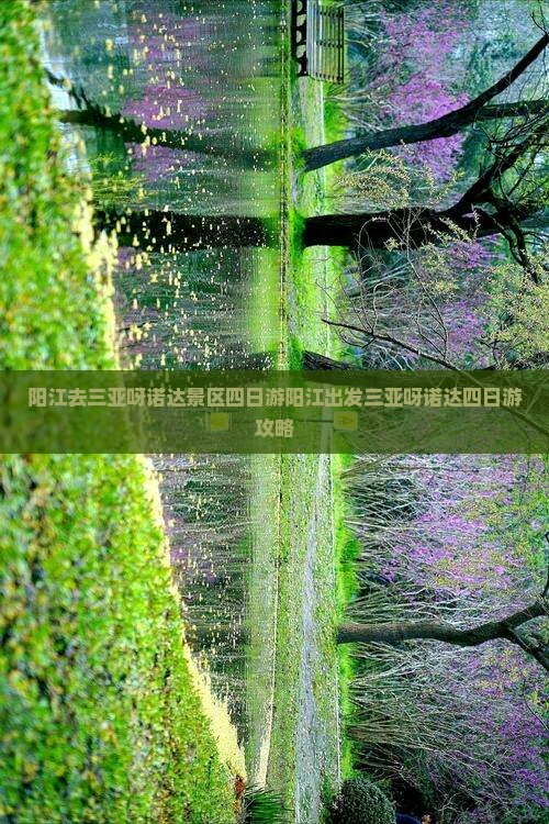 阳江去三亚呀诺达景区四日游