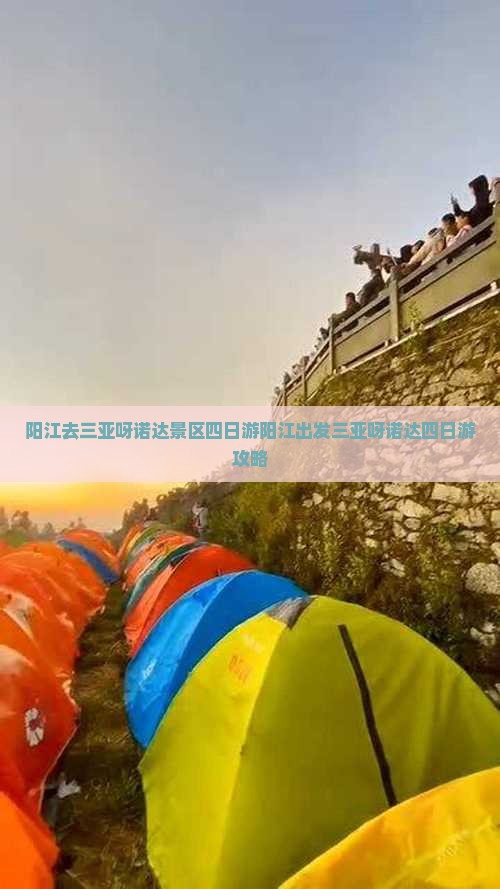 阳江去三亚呀诺达景区四日游
