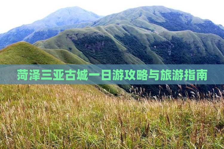 菏泽去三亚崖洲古城一日游