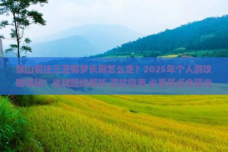 保山前往三亚椰梦长廊个人游