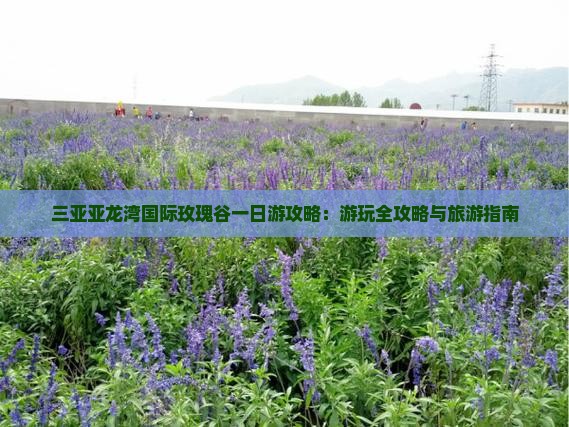 三明去三亚亚龙湾国际玫瑰谷一日游