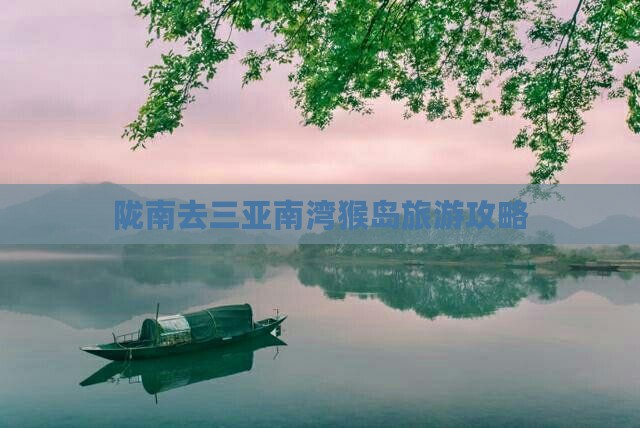 陇南去三亚南湾猴岛攻略