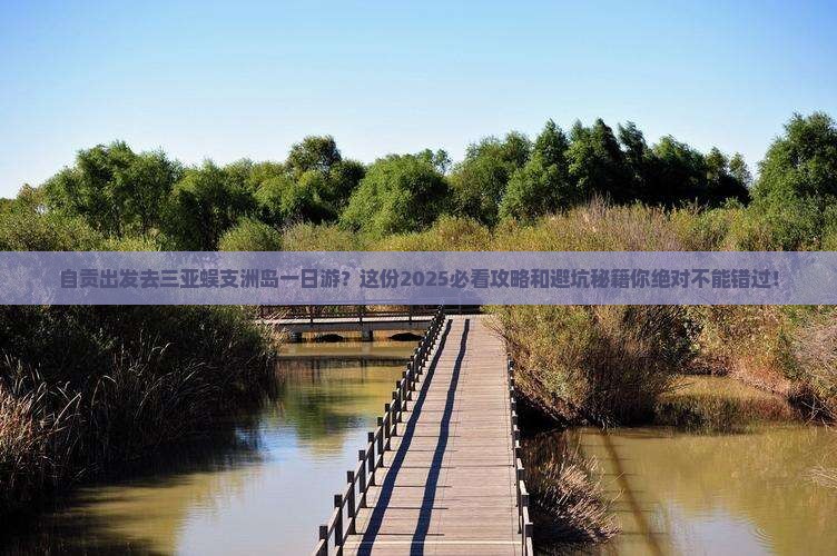 自贡去三亚蜈支洲岛一日游