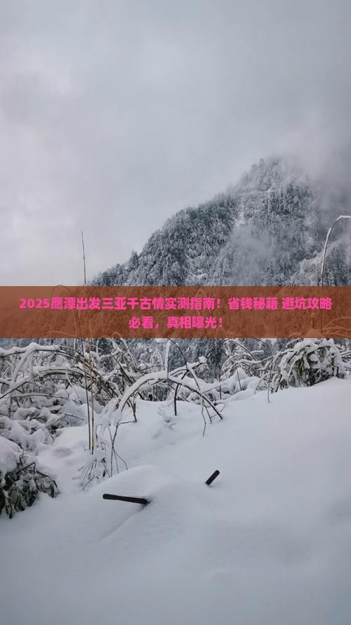 鹰潭出发三亚千古情攻略