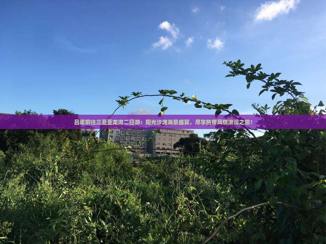 吕梁前往三亚亚龙湾二日游