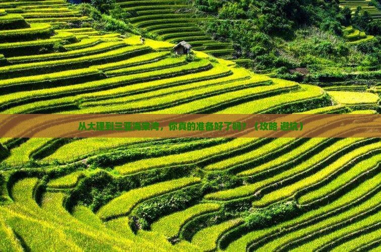 大理前往三亚海棠湾自由行