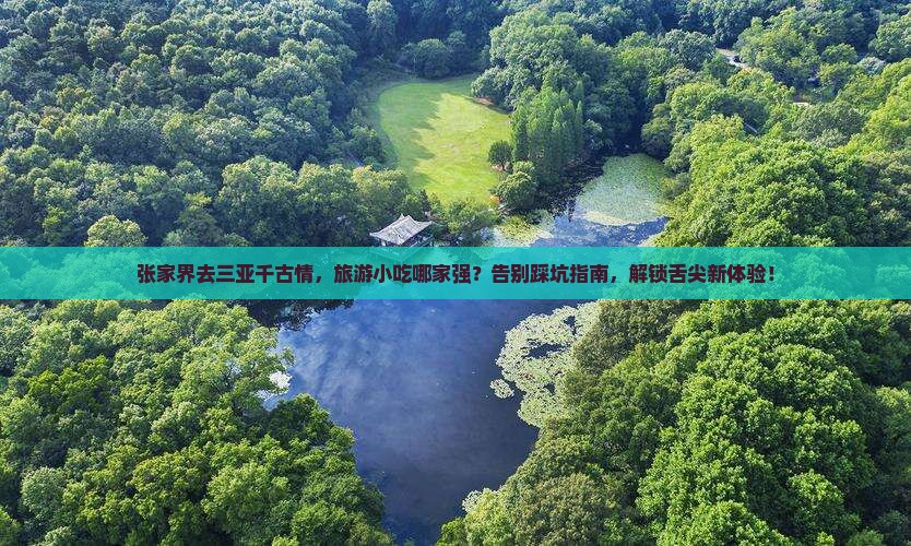 张家界前往三亚千古情旅游小吃