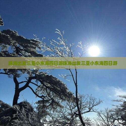 珠海出发三亚小东海四日游