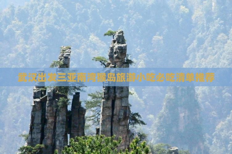 武汉出发三亚南湾猴岛旅游小吃