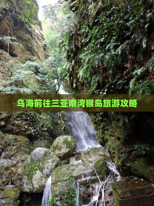 乌海前往三亚南湾猴岛自由行