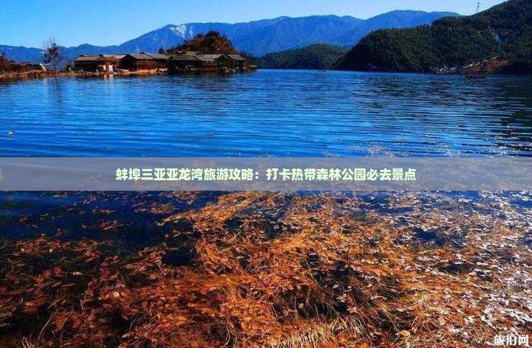 蚌埠去三亚亚龙湾热带森林公园旅游打卡点