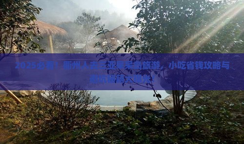 衢州去三亚呆呆岛旅游小吃