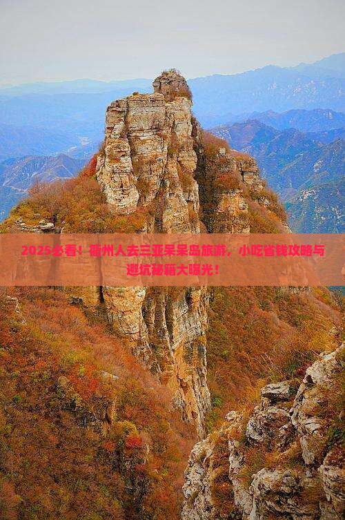 衢州去三亚呆呆岛旅游小吃