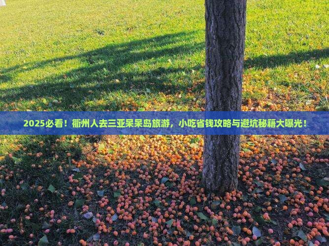 衢州去三亚呆呆岛旅游小吃