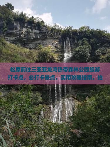 松原前往三亚亚龙湾热带森林公园旅游打卡点