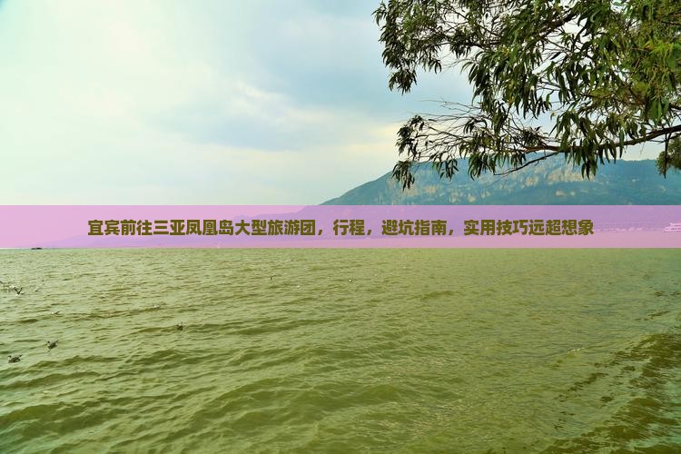 宜宾前往三亚凤凰岛大型旅游团