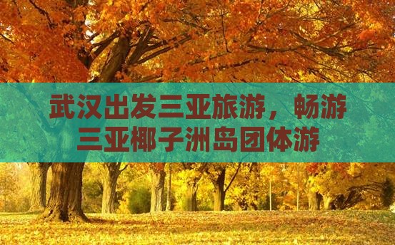 武汉去三亚椰子洲岛团体旅游
