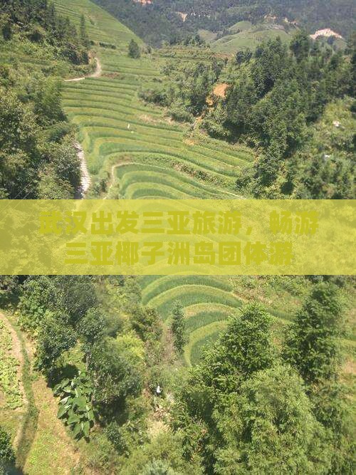 武汉去三亚椰子洲岛团体旅游