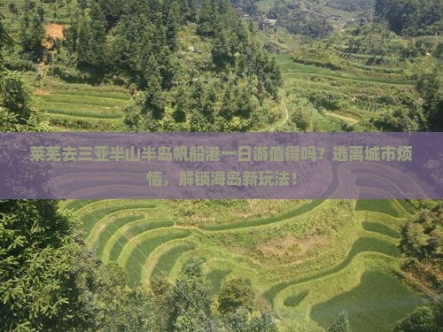 莱芜去三亚半山半岛帆船港一日游
