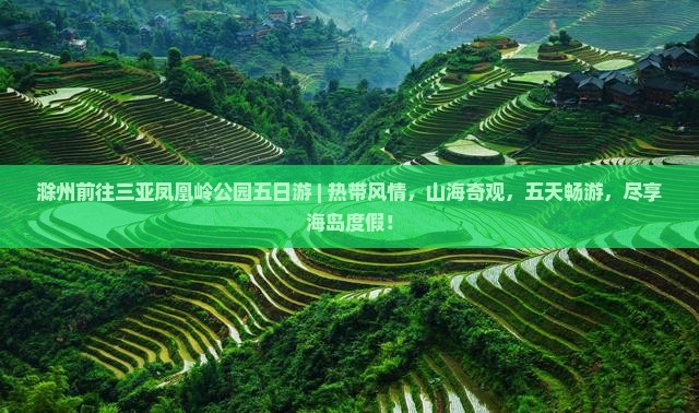 滁州前往三亚凤凰岭公园五日游