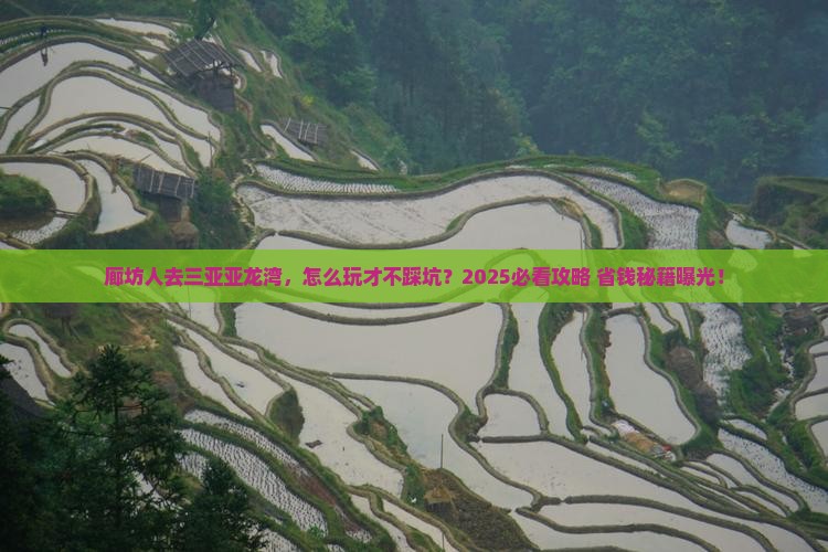 廊坊去三亚亚龙湾旅行社