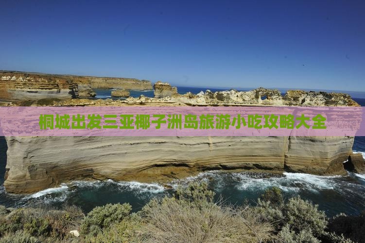 桐城出发三亚椰子洲岛旅游小吃