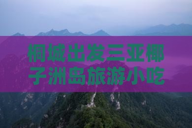 桐城出发三亚椰子洲岛旅游小吃