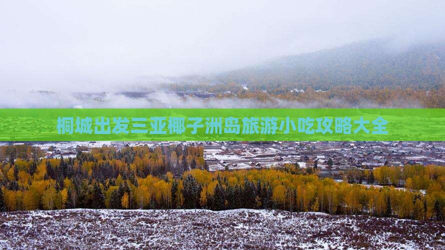 桐城出发三亚椰子洲岛旅游小吃
