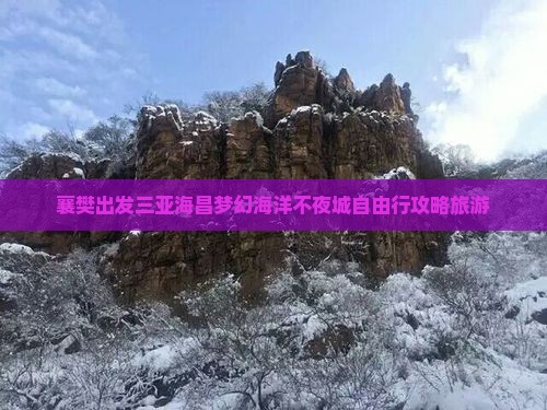 襄樊前往三亚海昌梦幻海洋不夜城自由行