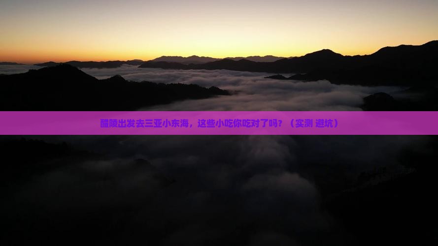 醴陵前往三亚小东海旅游小吃