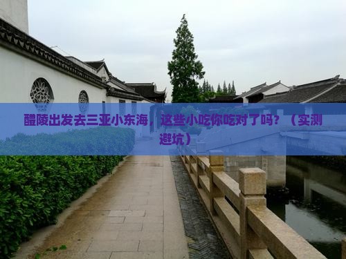 醴陵前往三亚小东海旅游小吃