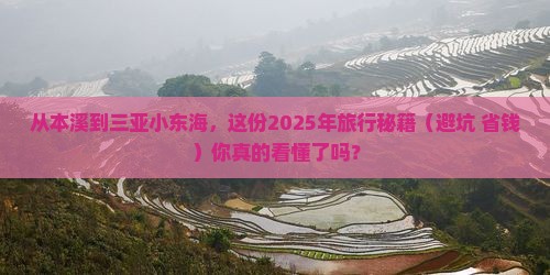 本溪出发三亚小东海旅行社