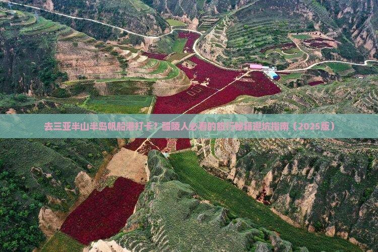 醴陵前往三亚半山半岛帆船港旅游网红地点