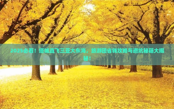 塔城去三亚大东海大型旅游团