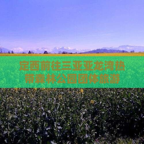 定西前往三亚亚龙湾热带森林公园团体旅游