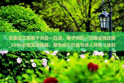 安康去三亚椰子洲岛一日游
