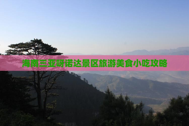南充前往三亚呀诺达景区旅游小吃