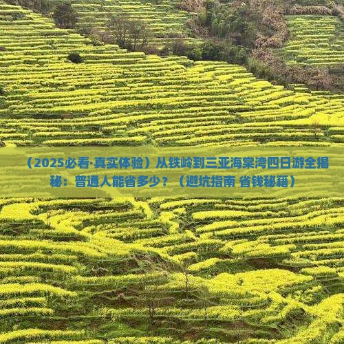 铁岭前往三亚海棠湾四日游