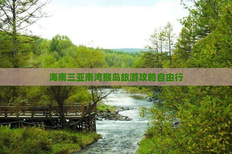 黄南前往三亚南湾猴岛自由行