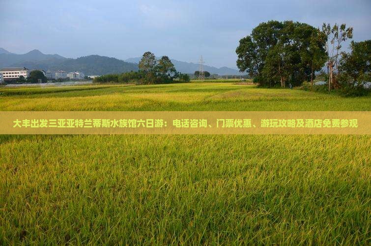 大丰出发三亚亚特兰蒂斯水族馆六日游