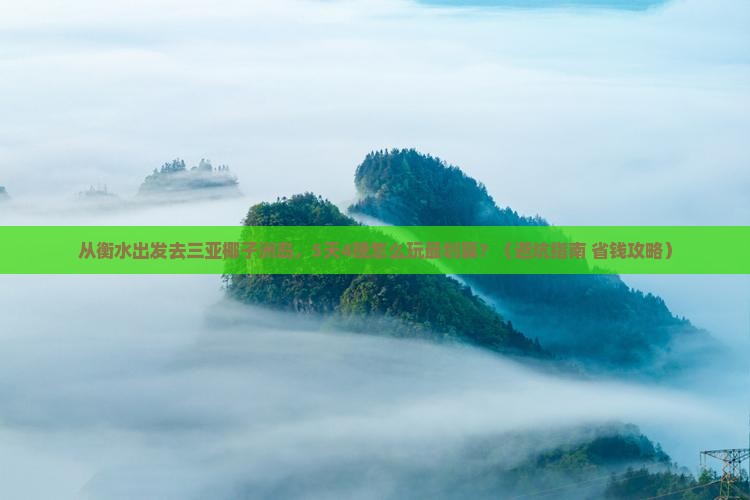 衡水前往三亚椰子洲岛旅行社